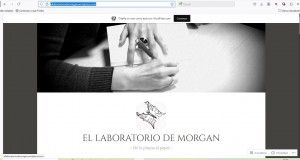 35_WWW_LABORTORIODEMORGAN